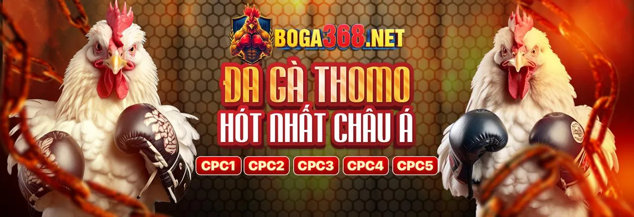 Đá gà trực tuyến 888vi chính thức