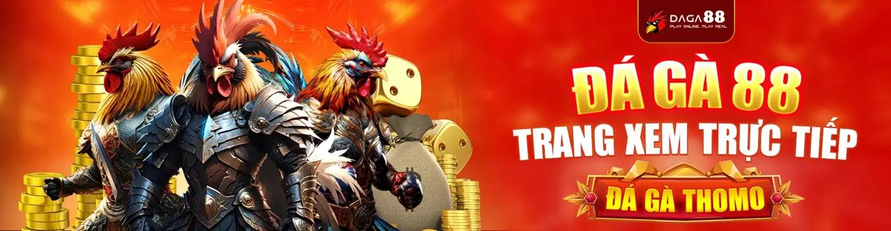 Đấu trường Đá Gà trực tuyến 888vi chính thức
