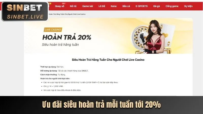 Chương trình khuyến mãi đặc biệt